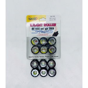 Bi nồi ( con lăn ) Janus ( 20x12x15G ) SKB