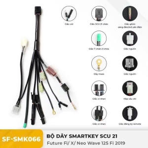 Dây điện Smartkey 21 chân Future 125 thường SunFa